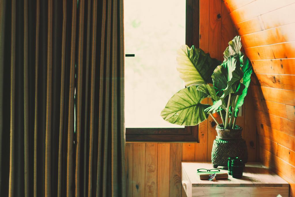 Chay Lap Farmstay Bo Trach Екстериор снимка