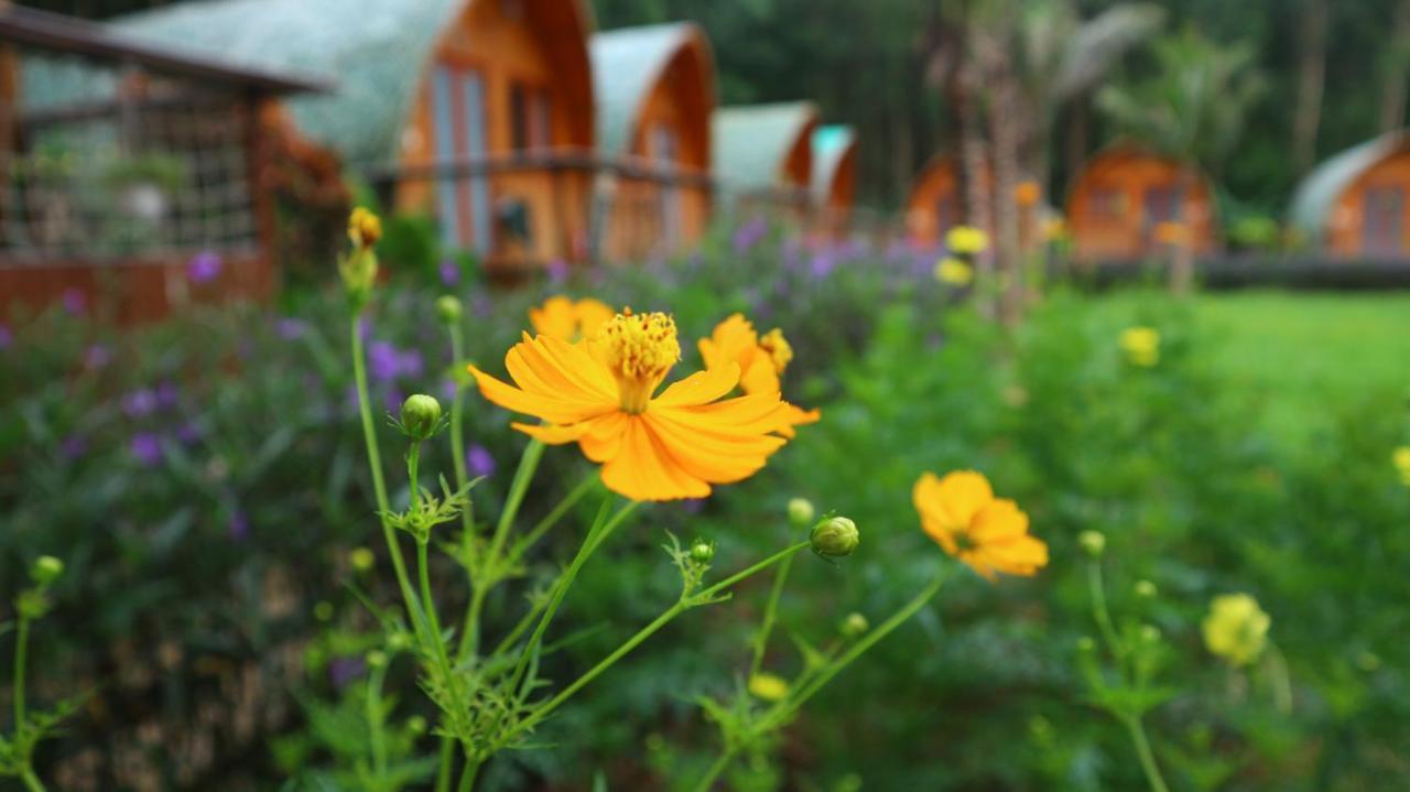 Chay Lap Farmstay Bo Trach Екстериор снимка